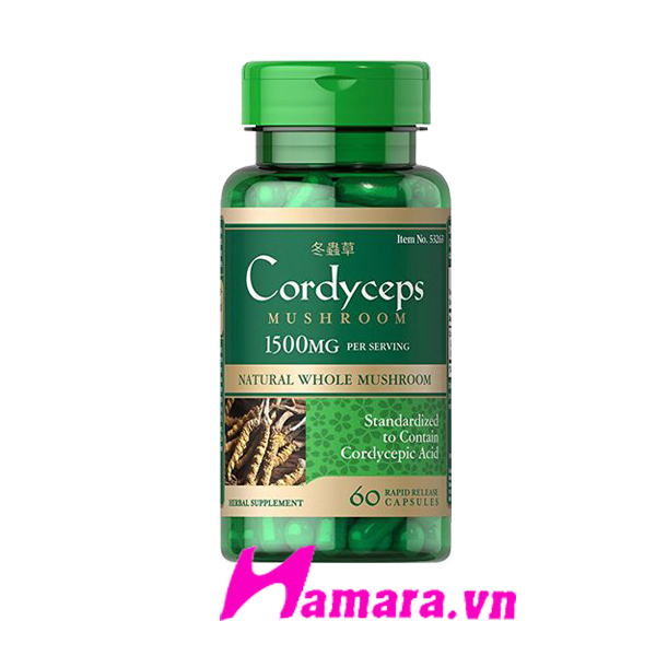 Sản Phẩm Đông Trùng Hạ Thảo Cordyceps Mushroom 750 mg