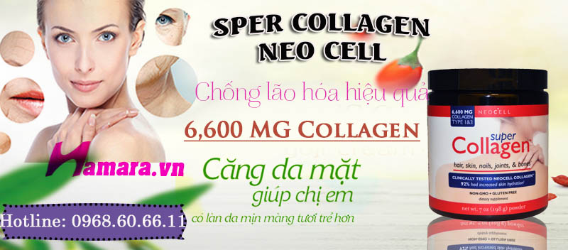 Sper Collagen Neo cell dạng bột chống lão hóa