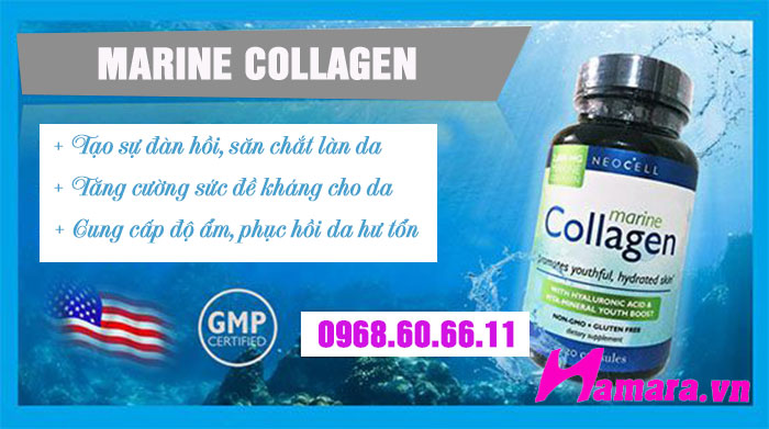 Công dụng Marine Collagen