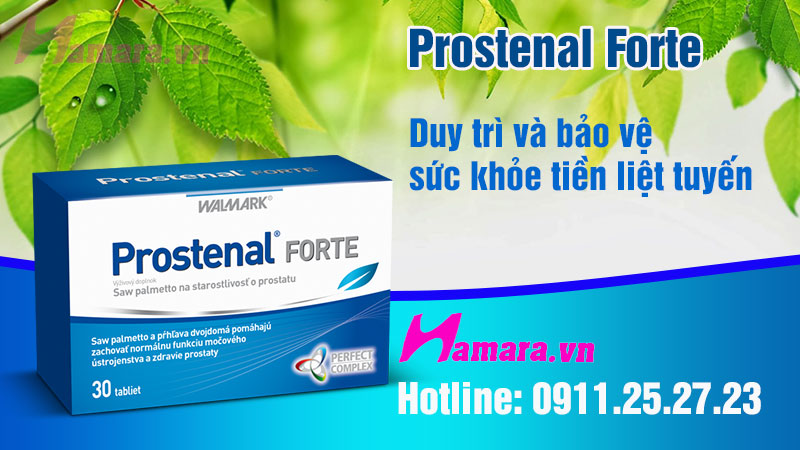 Giới thiệu Prostenal Forte