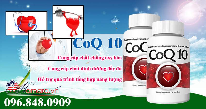 CoQ 10 hỗ trợ sức khỏe tim mạch