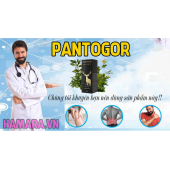 PANTOGOR