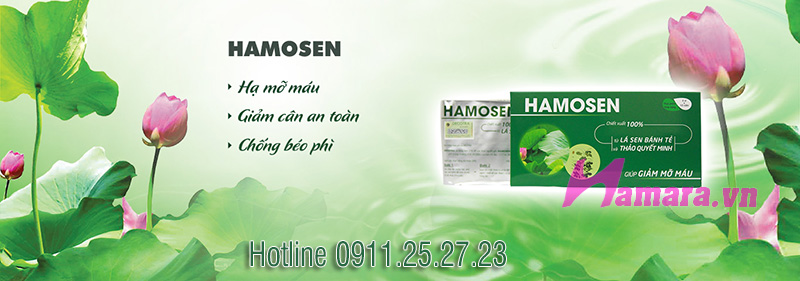 Hamosen 1