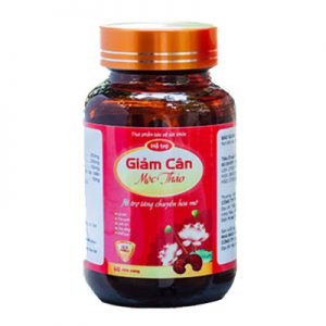 Giam-can-Moc-Thao-logo