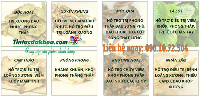 thành phần chi tiết