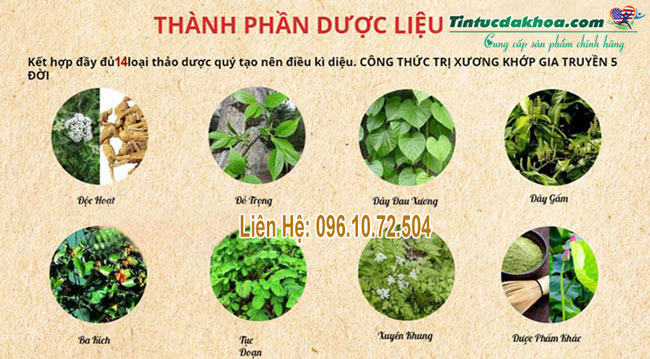 thong-ty-dan-thanh-phan