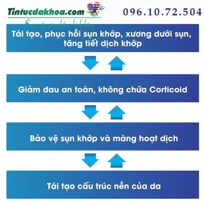 Joymax Rx có cơ chế tác động thế nào?