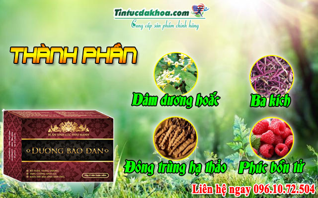 thành phần dương bảo đan