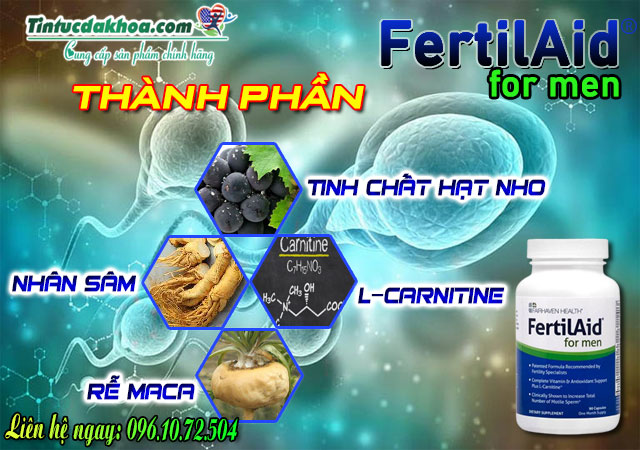 thành phần fertilaid for men 