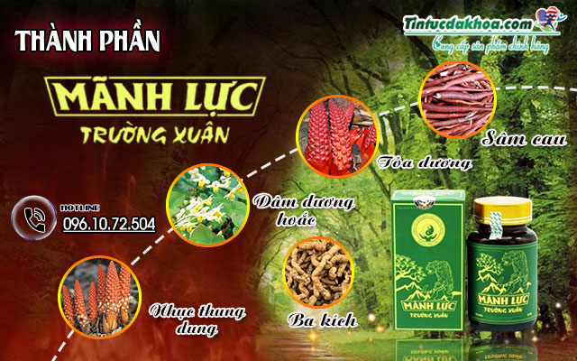 thành phần của mãnh lực trường xuân